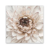 Shop Divine Dahlia IV (Square) Art Print-Botanicals, Florals, Hamptons, Neutrals, Square, View All-framed painted poster wall decor artwork