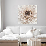Shop Divine Dahlia IV (Square) Canvas Art Print-Botanicals, Florals, Hamptons, Neutrals, Square, View All-framed wall decor artwork