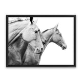 Shop Grey Horses Photo Canvas Art Print-Animals, Black, Grey, Landscape, Photography, Photography Canvas Prints, Scandinavian, View All, White-framed wall decor artwork