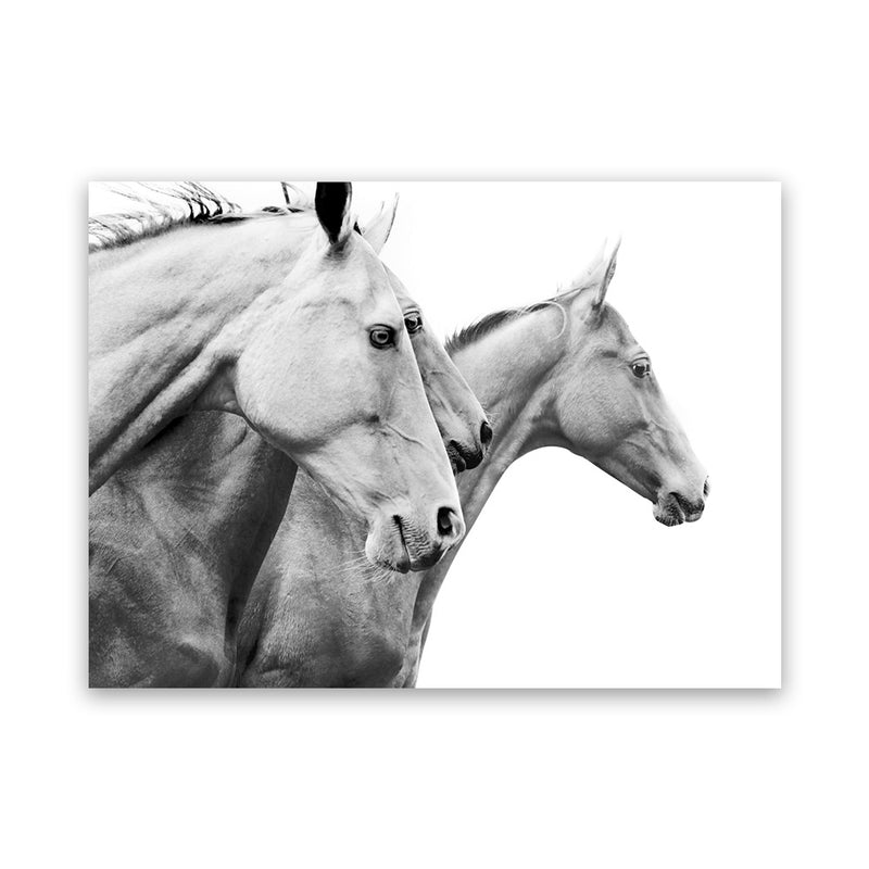 Shop Grey Horses Photo Canvas Art Print-Animals, Black, Grey, Landscape, Photography, Photography Canvas Prints, Scandinavian, View All, White-framed wall decor artwork