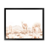 Shop Llamas Grazing Photo Art Print-Animals, Horizontal, Landscape, Neutrals, Photography, Rectangle, View All, White-framed poster wall decor artwork