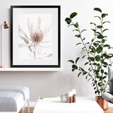 Shop Banksia I Photo Art Print-Botanicals, Florals, Hamptons, Nature, Photography, Pink, Portrait, View All-framed poster wall decor artwork