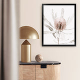 Shop Banksia I Photo Art Print-Botanicals, Florals, Hamptons, Nature, Photography, Pink, Portrait, View All-framed poster wall decor artwork