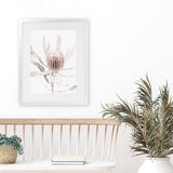 Shop Banksia I Photo Art Print-Botanicals, Florals, Hamptons, Nature, Photography, Pink, Portrait, View All-framed poster wall decor artwork