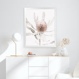 Shop Banksia I Photo Art Print-Botanicals, Florals, Hamptons, Nature, Photography, Pink, Portrait, View All-framed poster wall decor artwork