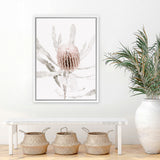 Shop Banksia I Photo Canvas Art Print-Botanicals, Florals, Hamptons, Nature, Photography, Photography Canvas Prints, Pink, Portrait, View All-framed wall decor artwork