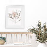 Shop Banksia III Photo Art Print-Botanicals, Florals, Hamptons, Nature, Neutrals, Photography, Pink, Portrait, View All-framed poster wall decor artwork