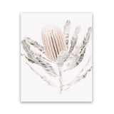 Shop Banksia III Photo Art Print-Botanicals, Florals, Hamptons, Nature, Neutrals, Photography, Pink, Portrait, View All-framed poster wall decor artwork
