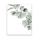 Shop Fiddle-Leaf Fig Photo Art Print-Botanicals, Green, Photography, Portrait, Rectangle, View All, White-framed poster wall decor artwork