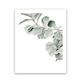 Shop Fiddle-Leaf Fig Photo Art Print-Botanicals, Green, Photography, Portrait, Rectangle, View All, White-framed poster wall decor artwork