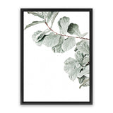 Shop Fiddle-Leaf Fig Photo Canvas Art Print-Botanicals, Green, Landscape, Photography, Photography Canvas Prints, Portrait, Rectangle, View All, White-framed wall decor artwork