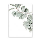 Shop Fiddle-Leaf Fig Photo Canvas Art Print-Botanicals, Green, Landscape, Photography, Photography Canvas Prints, Portrait, Rectangle, View All, White-framed wall decor artwork