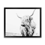 Shop Lone Highland Cow B&W Photo Art Print-Animals, Black, Horizontal, Landscape, Photography, Rectangle, View All, White-framed poster wall decor artwork