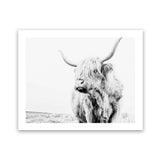 Shop Lone Highland Cow B&W Photo Art Print-Animals, Black, Horizontal, Landscape, Photography, Rectangle, View All, White-framed poster wall decor artwork