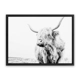 Shop Lone Highland Cow B&W Photo Canvas Art Print-Animals, Black, Horizontal, Landscape, Photography, Photography Canvas Prints, Rectangle, View All, White-framed wall decor artwork
