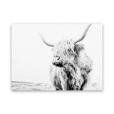 Shop Lone Highland Cow B&W Photo Canvas Art Print-Animals, Black, Horizontal, Landscape, Photography, Photography Canvas Prints, Rectangle, View All, White-framed wall decor artwork