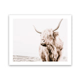 Shop Lone Highland Cow Photo Art Print-Animals, Horizontal, Landscape, Neutrals, Photography, Rectangle, View All-framed poster wall decor artwork