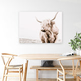 Shop Lone Highland Cow Photo Canvas Art Print-Animals, Horizontal, Landscape, Neutrals, Photography, Photography Canvas Prints, Rectangle, View All-framed wall decor artwork