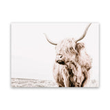 Shop Lone Highland Cow Photo Canvas Art Print-Animals, Horizontal, Landscape, Neutrals, Photography, Photography Canvas Prints, Rectangle, View All-framed wall decor artwork