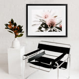 Shop Waratah Flowers Photo Art Print-Botanicals, Florals, Green, Hamptons, Landscape, Nature, Photography, Pink, View All-framed poster wall decor artwork