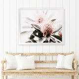 Shop Waratah Flowers Photo Art Print-Botanicals, Florals, Green, Hamptons, Landscape, Nature, Photography, Pink, View All-framed poster wall decor artwork