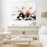 Shop Waratah Flowers Photo Canvas Art Print-Botanicals, Florals, Green, Hamptons, Landscape, Nature, Photography, Photography Canvas Prints, Pink, View All-framed wall decor artwork