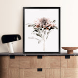 Shop Waratah II Photo Art Print-Botanicals, Florals, Hamptons, Nature, Photography, Pink, Portrait, View All, White-framed poster wall decor artwork