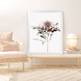 Shop Waratah II Photo Art Print-Botanicals, Florals, Hamptons, Nature, Photography, Pink, Portrait, View All, White-framed poster wall decor artwork