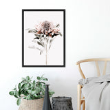 Shop Waratah II Photo Canvas Art Print-Botanicals, Florals, Hamptons, Nature, Photography, Photography Canvas Prints, Pink, Portrait, View All, White-framed wall decor artwork