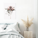 Shop Waratah II Photo Canvas Art Print-Botanicals, Florals, Hamptons, Nature, Photography, Photography Canvas Prints, Pink, Portrait, View All, White-framed wall decor artwork