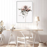 Shop Waratah II Photo Canvas Art Print-Botanicals, Florals, Hamptons, Nature, Photography, Photography Canvas Prints, Pink, Portrait, View All, White-framed wall decor artwork