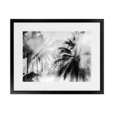 Shop Monochrome Palms Photo Art Print-Black, Coastal, Horizontal, Landscape, Photography, Rectangle, Tropical, View All-framed poster wall decor artwork