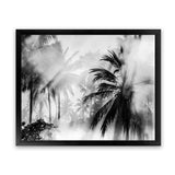 Shop Monochrome Palms Photo Art Print-Black, Coastal, Horizontal, Landscape, Photography, Rectangle, Tropical, View All-framed poster wall decor artwork