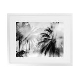 Shop Monochrome Palms Photo Art Print-Black, Coastal, Horizontal, Landscape, Photography, Rectangle, Tropical, View All-framed poster wall decor artwork
