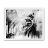 Shop Monochrome Palms Photo Art Print-Black, Coastal, Horizontal, Landscape, Photography, Rectangle, Tropical, View All-framed poster wall decor artwork