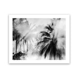 Shop Monochrome Palms Photo Art Print-Black, Coastal, Horizontal, Landscape, Photography, Rectangle, Tropical, View All-framed poster wall decor artwork
