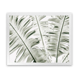 Shop Banana Palms Photo Art Print-Botanicals, Green, Horizontal, Landscape, Photography, Rectangle, Tropical, View All-framed poster wall decor artwork