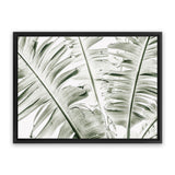 Shop Banana Palms Photo Canvas Art Print-Botanicals, Green, Horizontal, Landscape, Photography, Photography Canvas Prints, Rectangle, Tropical, View All-framed wall decor artwork