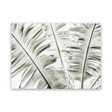 Shop Banana Palms Photo Canvas Art Print-Botanicals, Green, Horizontal, Landscape, Photography, Photography Canvas Prints, Rectangle, Tropical, View All-framed wall decor artwork