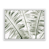 Shop Banana Palms Photo Canvas Art Print-Botanicals, Green, Horizontal, Landscape, Photography, Photography Canvas Prints, Rectangle, Tropical, View All-framed wall decor artwork