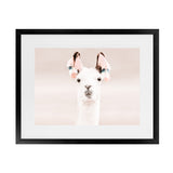 Shop Llama Photo Art Print-Animals, Baby Nursery, Horizontal, Landscape, Neutrals, Photography, Pink, Rectangle, View All-framed poster wall decor artwork