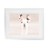 Shop Llama Photo Art Print-Animals, Baby Nursery, Horizontal, Landscape, Neutrals, Photography, Pink, Rectangle, View All-framed poster wall decor artwork