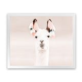 Shop Llama Photo Art Print-Animals, Baby Nursery, Horizontal, Landscape, Neutrals, Photography, Pink, Rectangle, View All-framed poster wall decor artwork