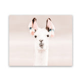 Shop Llama Photo Art Print-Animals, Baby Nursery, Horizontal, Landscape, Neutrals, Photography, Pink, Rectangle, View All-framed poster wall decor artwork