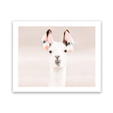 Shop Llama Photo Art Print-Animals, Baby Nursery, Horizontal, Landscape, Neutrals, Photography, Pink, Rectangle, View All-framed poster wall decor artwork