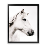 Shop Icelandic Horse Photo Art Print-Animals, Photography, Portrait, Rectangle, View All, White-framed poster wall decor artwork