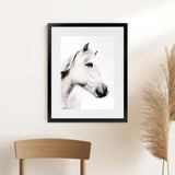 Shop Icelandic Horse Photo Art Print-Animals, Photography, Portrait, Rectangle, View All, White-framed poster wall decor artwork