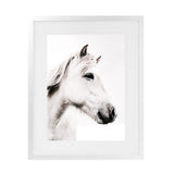 Shop Icelandic Horse Photo Art Print-Animals, Photography, Portrait, Rectangle, View All, White-framed poster wall decor artwork
