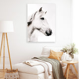 Shop Icelandic Horse Photo Canvas Art Print-Animals, Photography, Photography Canvas Prints, Portrait, Rectangle, View All, White-framed wall decor artwork