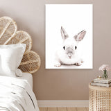 Shop White Bunny Photo Canvas Art Print-Animals, Baby Nursery, Photography, Photography Canvas Prints, Portrait, Rectangle, View All, White-framed wall decor artwork